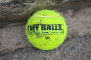 Tuff Balls - Dog Toys - Ryan G photo
